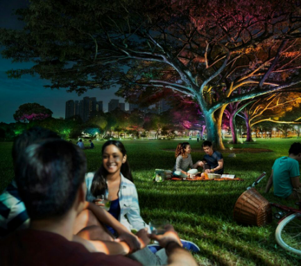 飛利(li)浦炤(zhao)明髮佈2016年報,可持續髮展業務銷售佔